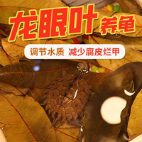 宠小帅龙眼叶乌龟原生态干腐皮烂甲龟药鱼缸水族箱净化水质天然干龙眼叶 【龙眼叶】50片