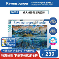 睿思（Ravensburger）睿偲欧洲时代广场猫和老鼠成人拼图城市陈意涵 2000片智慧的蓝鲸