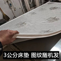 金诺行 天然椰棕床垫 软硬适中 3cm厚 0.9m宽