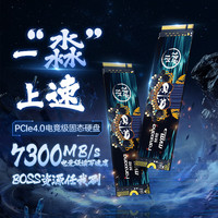 FANXIANG 梵想 S790E 固态硬盘 2TB（PCIe 4.0）