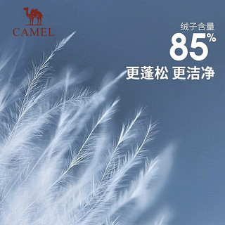 骆驼（CAMEL）三防一冲锋衣户外登山服防风防雨防污抓绒羽绒内胆运动外套 【真选套盒】番木棕/椰壳色XBMH XXL