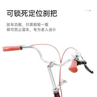 永久（FOREVER）三轮车自行车老人脚蹬车代步脚踏车轻便拉货车通勤买菜单车
