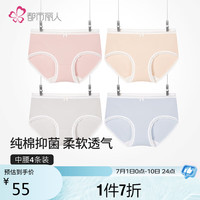都市丽人 COSMO LADY内裤女纯棉内衣舒适简约短裤头中腰女士内裤4条装2K3A68