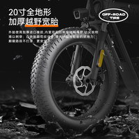 FTN 低座T20s锂电池助力电动自行车复古山地车摩托车电单车