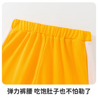 纤丝鸟（TINSINO）儿童套装男童短袖短裤两件套夏季衣服 P*蓝白汽车黄色160