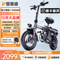普莱德 RS7 电动自行车 48V10Ah锂电池 银黑色