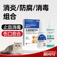 防腐生肌散宠物用狗狗猫咪皮肤外伤肌肉创伤手术刀伤伤口流脓绝育促进愈合消炎消毒药粉喷剂 防腐+消毒消炎组合