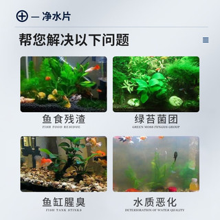备能（BEINENG） 鱼缸净水片去绿水除腥臭味去绿苔菌团鱼食残渣自来水除氯净水剂 净水片100片/瓶