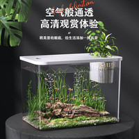 燕之雁生态斗鱼缸客厅迷你大小型家用水族箱透明金鱼缸乌龟缸带盖造景缸 白色带盖(32*18.5*23)