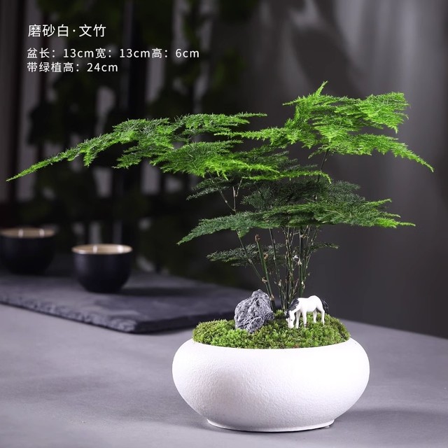 客器 磨砂白·文竹