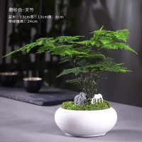 客器 磨砂白·文竹
