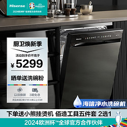 Hisense 海信 净水洗碗机 家用18套大容量 彩屏变频 超一级水效 110℃热风 嵌入式独立式C507iPro