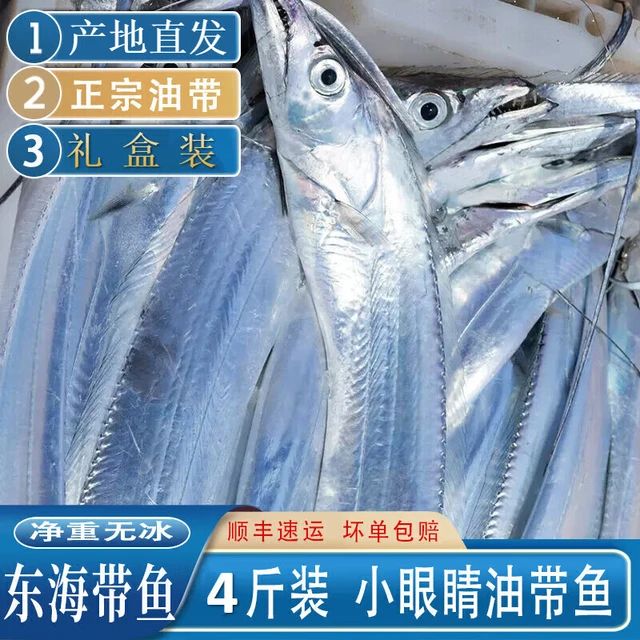 欢之婧 【正宗舟山小眼带鱼】 小眼睛油带鱼整条新鲜超大刀鱼 4斤（礼盒装6-9条）