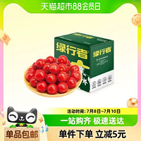 88VIP：GREER 绿行者 樱桃番茄生吃小西红柿2kg