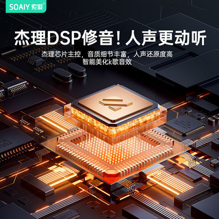索爱（soaiy）k歌麦克风音响一体唱歌一体式话筒音响一体自带声卡家庭ktv音响套装儿童话筒SK2 油彩白-版【单麦】