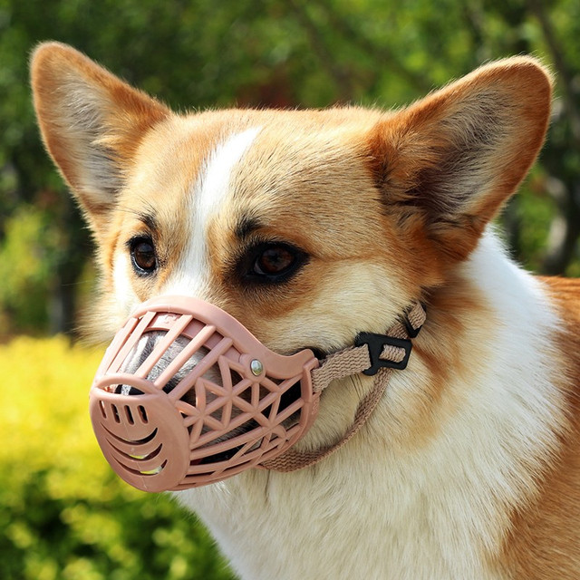Dogstory 狗嘴套宠物口罩中大型犬通用防咬保护套金毛柯基泰迪 黄色 S+（适合10斤狗狗）