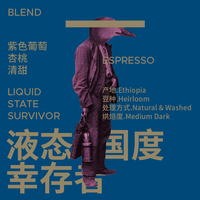 治光师 BEAM TIMER 液态国度意式咖啡豆中深烘焙阿拉比卡黑咖啡450g