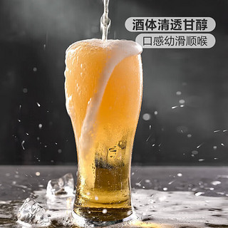 京A JING-A嘉士伯（Carlsberg） 英国啤酒 皮尔森啤酒 500ml*24罐 整箱装 