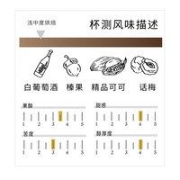 炬点咖啡 哥斯达黎加日晒精品咖啡豆 热带天堂新鲜烘焙 100g/250g