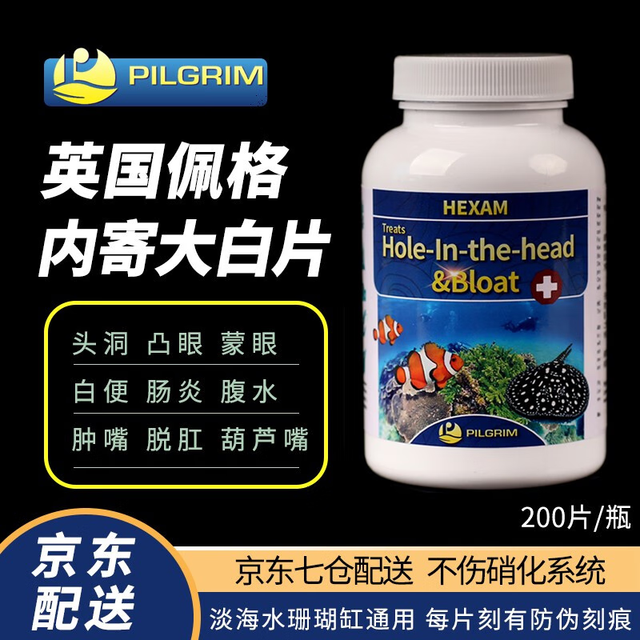 Pilgrim 佩格英国大白片水族观赏鱼龙鱼罗汉鱼内寄头洞肠炎外寄白点 内寄大白片 PILGRIM佩格
