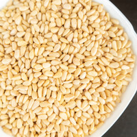 都市余味 原味松子仁 （熟）中粒雪松子仁100g(约10小袋)