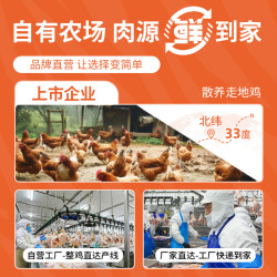 猫大力 零食猫罐头猫条营养猫咪零食成幼猫非增肥发腮湿粮24罐整箱