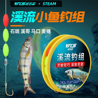 威拓森（weituosen）鱼线溪流钓主线组小白条石斑鱼鳑鲏马口小鱼三粒漂小物七星漂钓组 4.5米/金袖【钓组3个装】/1号 有刺