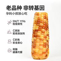 云南西双版纳香糯小玉米开袋即食新鲜真空装小花糯黏甜粘玉米棒子