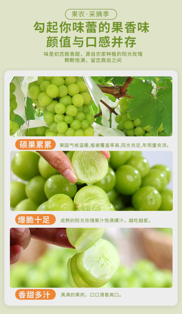 seafood 京鲜生 国产阳光玫瑰葡萄 4.