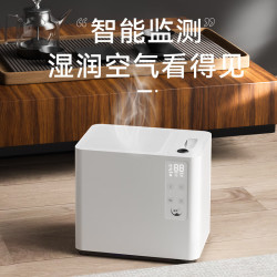 益武 负离子净化紫外线抑菌 茶水通过滤加湿器  典雅白 5.5L