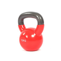 KYLINFIT 浸塑壶铃 男士家用壶铃铸铁浸塑提壶哑铃力量训练手臂深蹲壶铃球 12kg