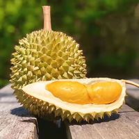 chunrui 春瑞 泰国长柄榴莲 单果3~4斤