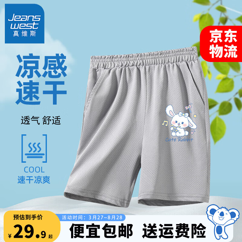 灰 长耳蓝兔X