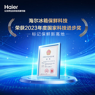 Haier 海尔 470兄弟款海尔476十字双开四门一级变频超薄嵌入式风冷电冰箱家用