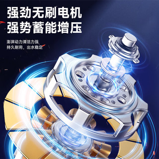 德力西（DELIXI）高压洗车机家用无刷高压水枪充电大功率无线锂电洗车水枪洗车