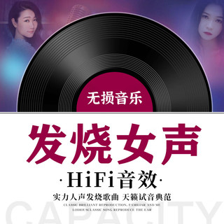发烧专辑HIFI试音人声天籁女声孙露谭艳雷婷张玮伽汽无损音乐U盘高品质音乐车载音乐 全集：孙露+雷婷+谭艳+张玮伽+陈思宇无损音乐U盘