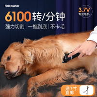 hoopet宠物电推剪猫咪剃脚毛器狗狗剃毛机器理发器泰迪狗毛发推子金毛犬 修毛套装-大功率不卡【充电款】