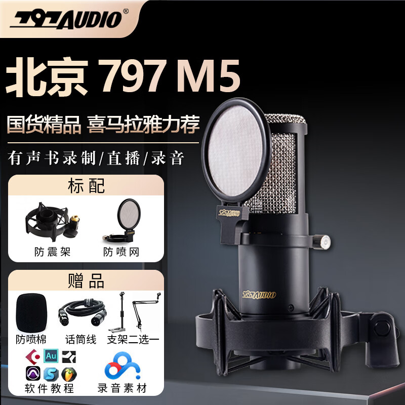  797AUDIO 有声读物录音配音 大振膜电容麦克风