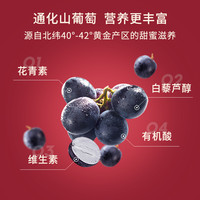 通化葡萄酒 老红梅山葡萄9度15度红梅系列 搭配烧烤