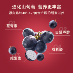 通化葡萄酒 老红梅山葡萄9度15度红梅系列 搭配烧烤