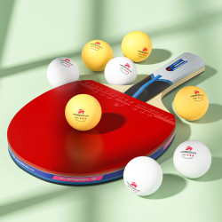 恒博乒乓球一星球10只