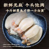胖子全淡墨鱼蛋新鲜无盐大白蛋宁波特产舟山海鲜乌贼蛋特大目鱼蛋