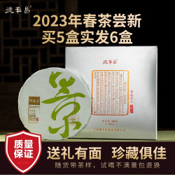 德丰昌 茶叶普洱生茶冰岛头春景迈普洱茶生茶手撕饼明前春尖春茶叶礼盒装 23年 景迈春尖手撕饼 200g * 1盒