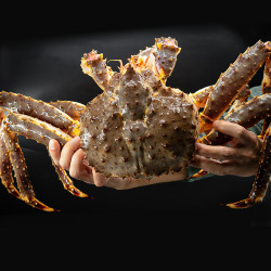 9元】渔传播海鲜水产_渔传播 足斤足两俄罗斯帝王蟹1只3.