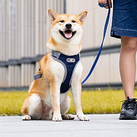 PEITE PET狗狗牵引绳中大型犬狗绳牵引绳背心式反光胸背带柴犬柯基遛狗绳 深蓝胸背带（+1.5米牵引绳） S（6-12斤） 深蓝色胸背带（+1.5米牵引绳）