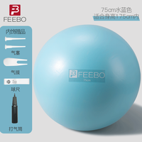 feebo菲柏瑜伽球加厚防爆球抗压瑞士球儿童亲子助产弹力平衡球 加厚防爆75cm-水蓝色【配气筒】