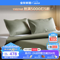 全友家居头层牛皮凉席1.8米家用双人床真皮凉席枕套空调软席DX108079 宝石蓝 | 尊享款|牛皮枕套C*2
