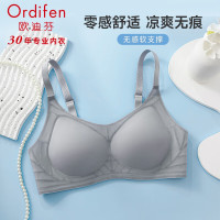 欧迪芬 无钢圈 女士文胸 四款颜色
