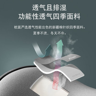 WITGOER智国者汽车头枕腰靠套装车用车头护颈枕护腰车载座椅靠垫枕头记忆棉通用 【头枕腰靠套装】护颈舒腰丨黑色