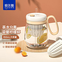 HAERS 哈尔斯 茶水分离吸管玻璃杯 850ml